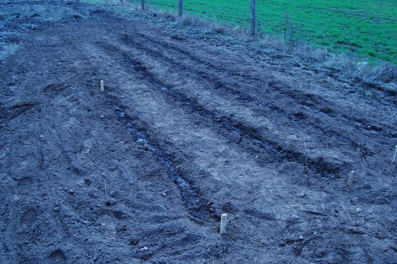 mojabudowa.pl - blog budowlany